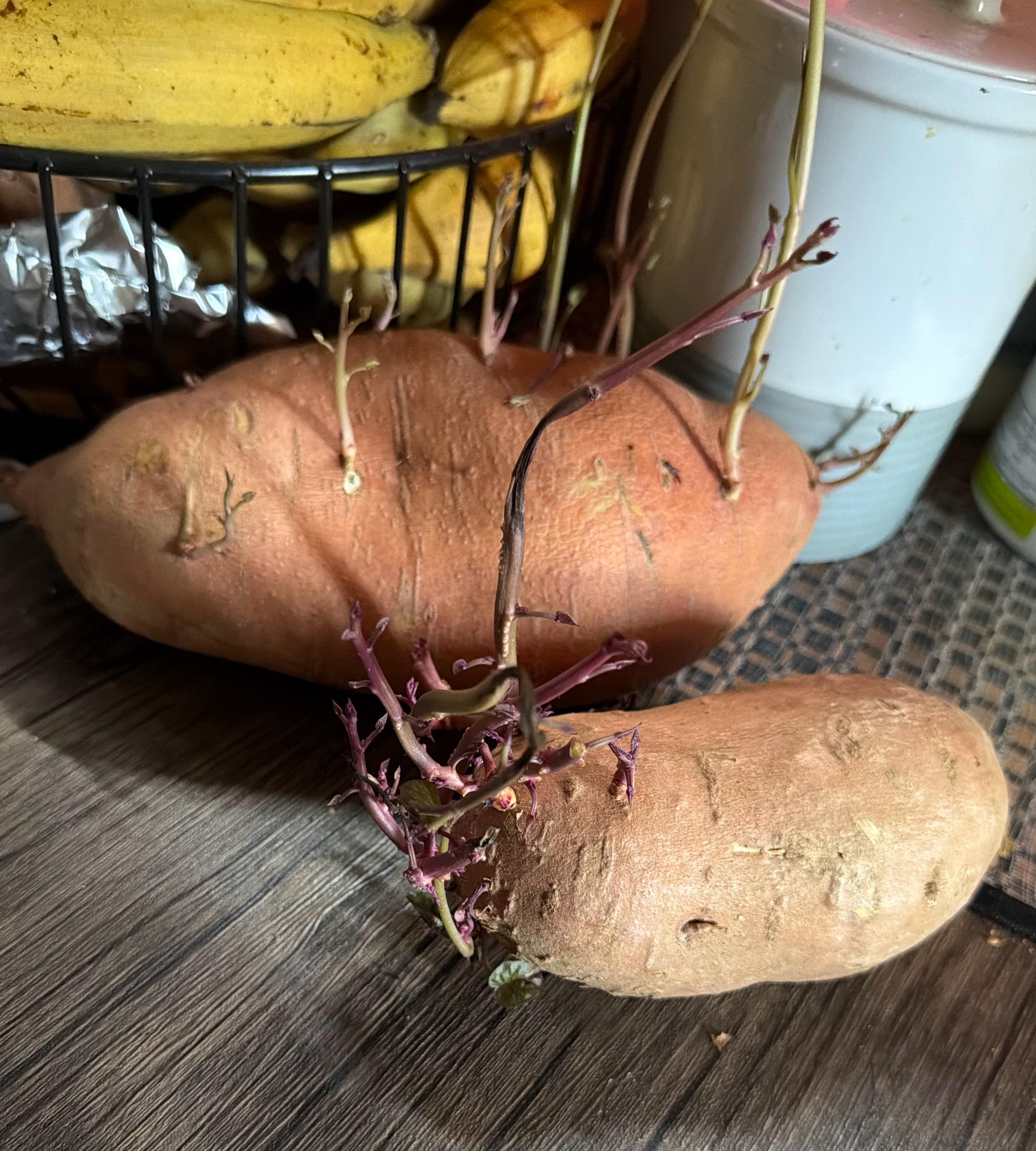 Residents are being advised to consult agricultural experts for produce-related health concerns.