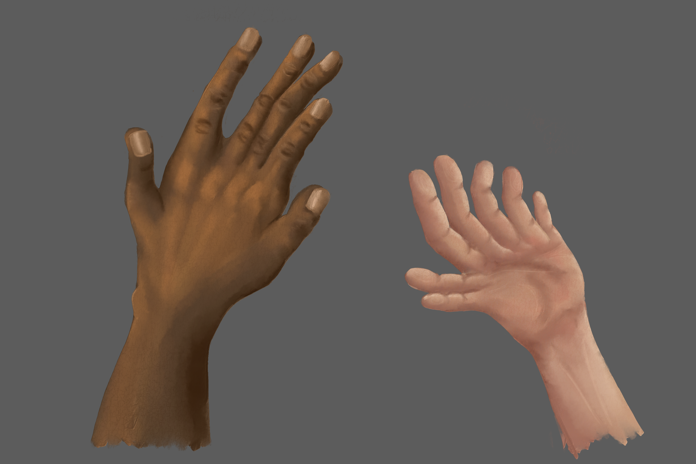 A local anatomical study sparked a discussion on the complexities of realistic digit counts.