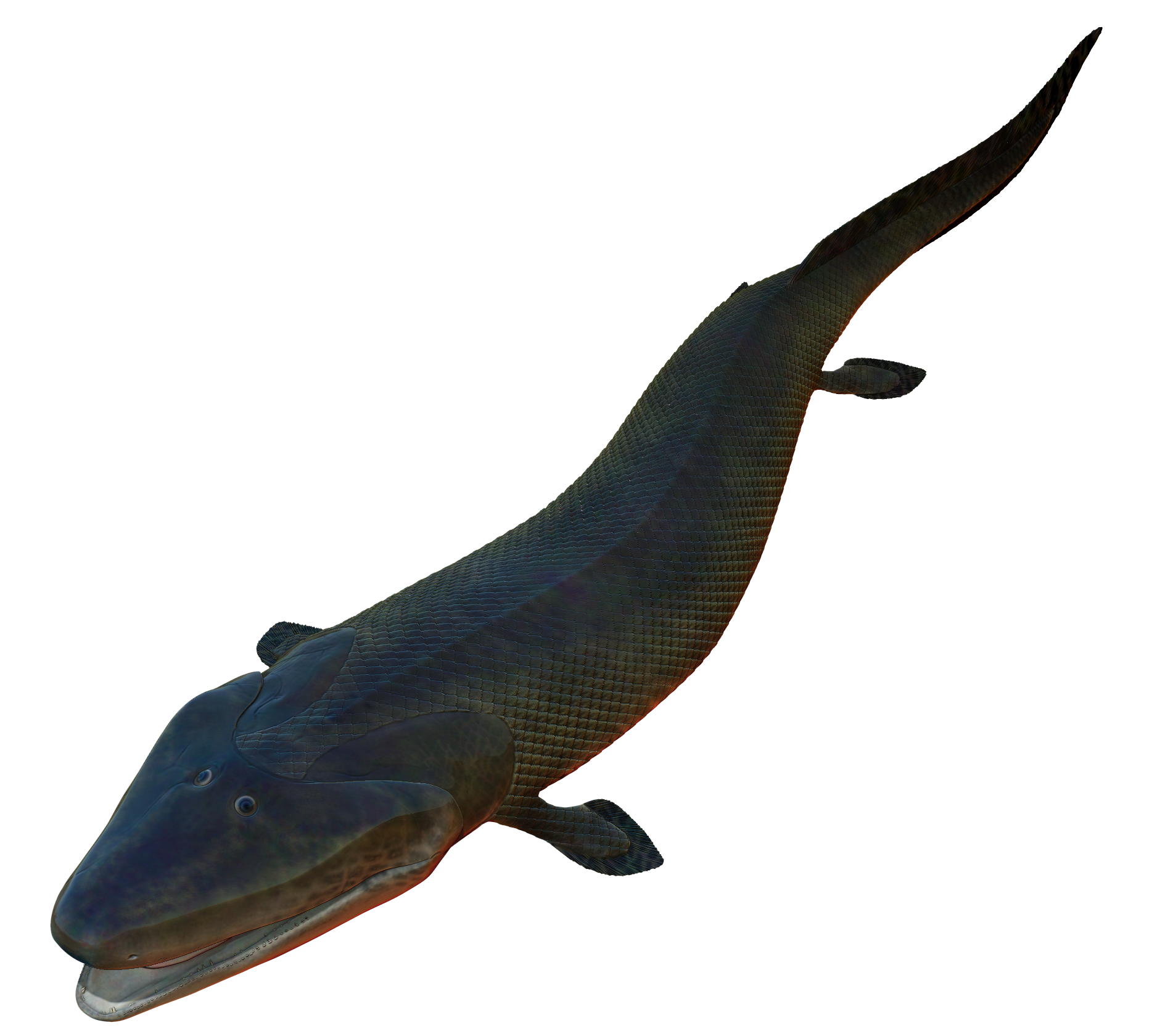 I just picked up my first pet Tiktaalik from the Humane Society! I named him fuzzy due to her physical appearance. What are your tips for keeping her healthy and happy 😀