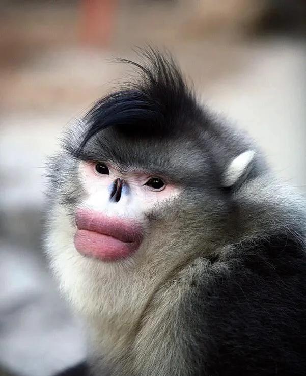 A recent image showing the dramatic aesthetic shift for Kim Kardashian.