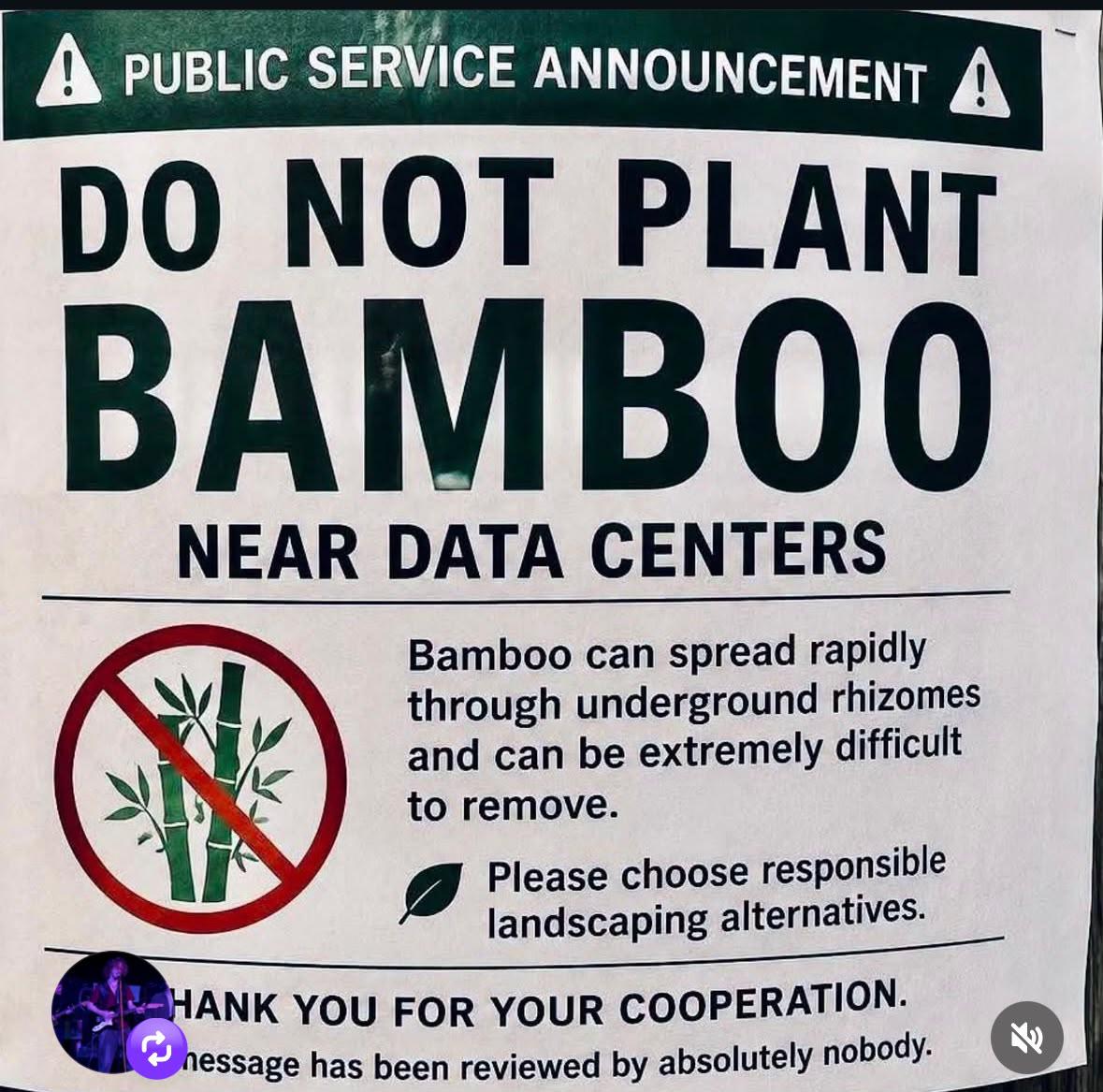 A public service announcement warns of the risks bamboo poses to underground data infrastructure.