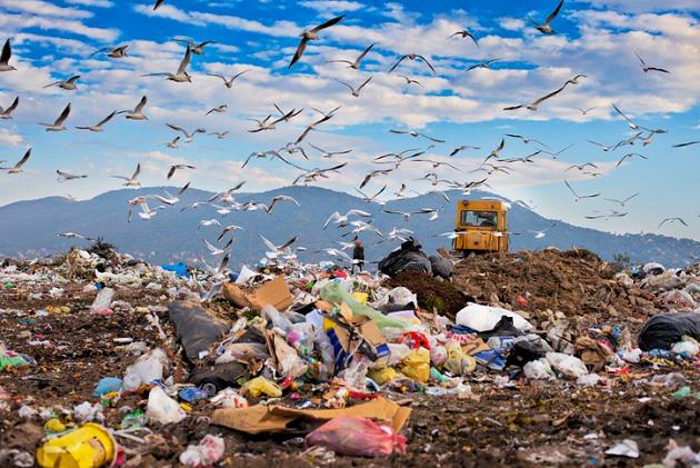 Gulls gather over a coastal area as Switzerland receives top honors for its beaches.